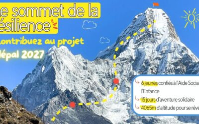 Le sommet de la résilience 🏔️